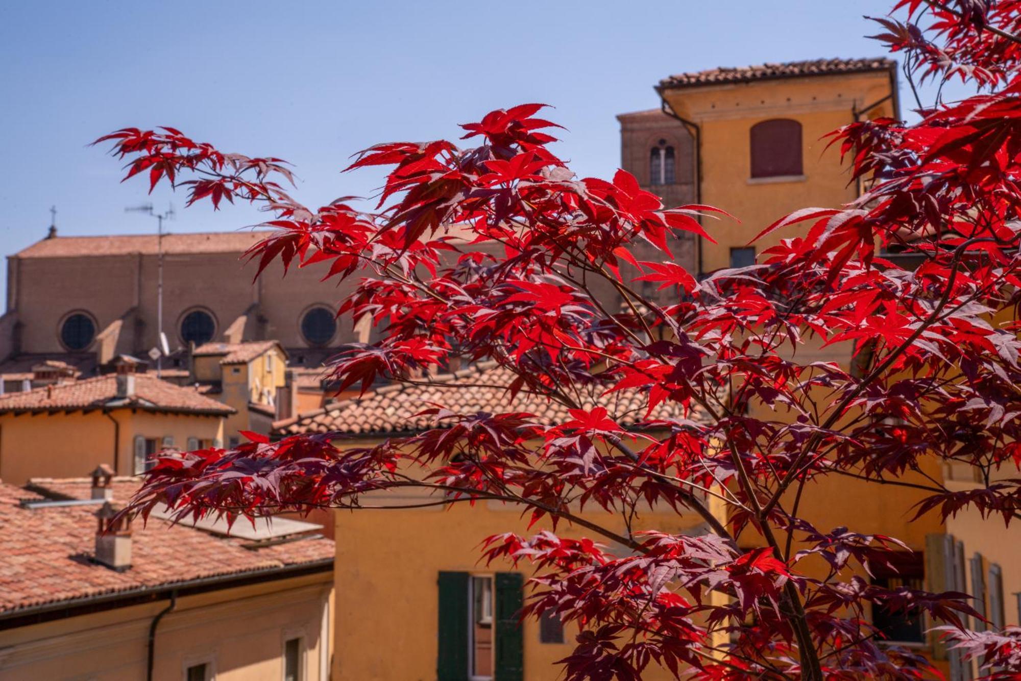 Piazza Maggiore Santa Margherita B&B Bolonya Oda fotoğraf